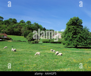 GB SUSSEX ADUR VALLEY COOMBES CHIESA Foto Stock