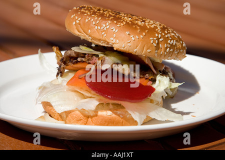 Famoso Oodnaburger la strada Pink House Oodnadatta Oodnadatta Track Outback South Australia Australia Foto Stock