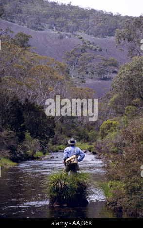 Pesca a mosca, Cobungra River, , NEVictoria, Australia , Foto Stock