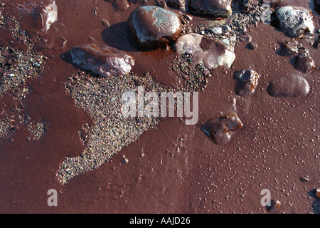 Olio sulla spiaggia a ovest di acqua dolce di proprietà del National Trust Pembrokeshire Wales UK Foto Stock