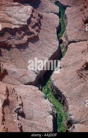 Vista aerea di Havasu Canyon nel Grand Canyon Arizona USA Foto Stock