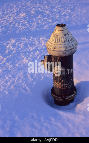 Idrante di fuoco sull'isola di ellis nella neve New York City USA Foto Stock