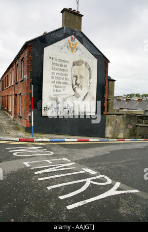 Theodore Roosevelt murale su Kennedy Street nella fontana station wagon, Londonderry, nella contea di Derry, Irlanda del Nord. Foto Stock