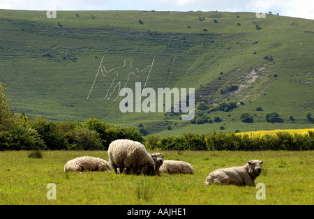 L'uomo lungo di Wilmington sulla South Downs vicino a Eastbourne East Sussex England foto da Andrew Hasson Maggio 2005 Foto Stock
