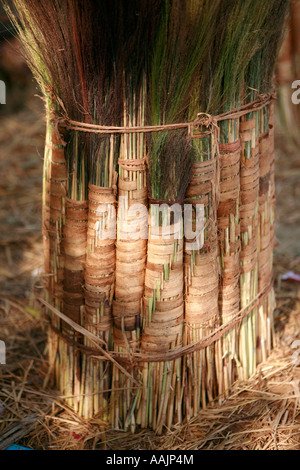 Spazzole di erba al mercato a Bissamcuttack, Chatikona, vicino Rayagada, Orissa, India Foto Stock