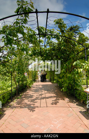 Il pergolato in Physic Garden a Buckfast Abbey, DEVON REGNO UNITO Foto Stock