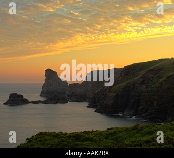 Bossiney cove Foto Stock