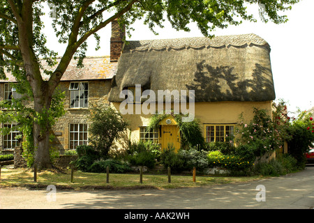 Thatch Cottage Foto Stock