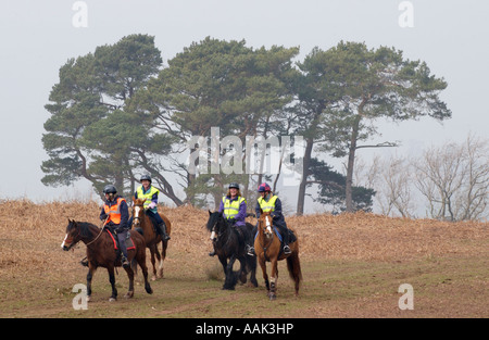 Pony trekking su una montagna nera loop di equitazione da montagna Tregoyd piloti center South Wales UK ceduo di alberi in background Foto Stock