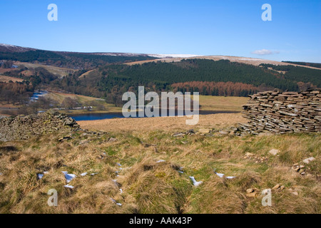 Vista sulla brughiera al serbatoio Errwood nel Goyt Valley nel Peak District nel Derbyshire Foto Stock