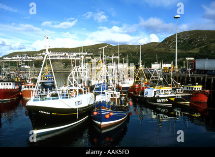Barche da pesca legato nel porto di Mallaig Scozia Scotland Foto Stock