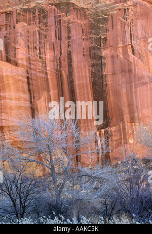 Vernice del deserto Capitol Reef National Park nello Utah Foto Stock
