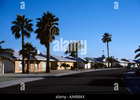 Negli anni ottanta la foresta nel deserto CERCHIO SUN CITY ARIZONA USA Foto Stock