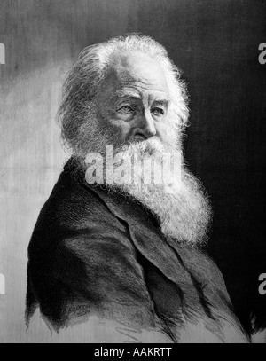 Illustrazione ritratto del poeta americano Walt Whitman Foto Stock