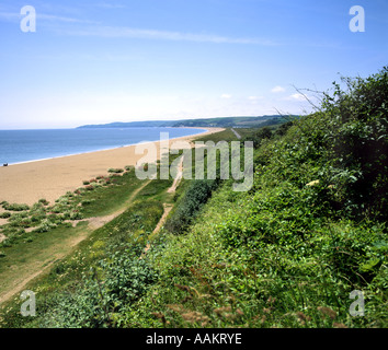 Slapton sands e iniziare la baia dal strete South Hams South Devon England Foto Stock