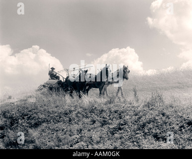 1930s AGRICOLTORE IN TUTA e cappello di paglia trebbiatrice di pilotaggio prelevata da tre cavalli Foto Stock