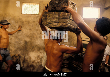 L'Amazzonia, Brasile. I lavoratori della gomma di caricamento nel carrello. Esportazione delle risorse naturali Foto Stock