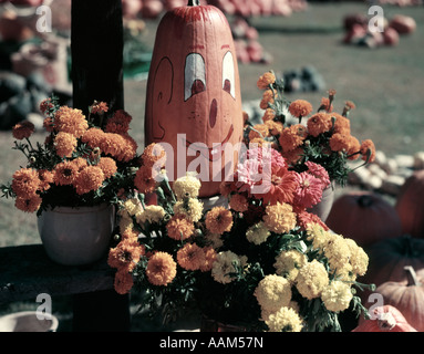 Anni Cinquanta zucca dipinta con la faccia felice circondato da Orange & fiori bianchi crisantemi mamme autunno mercato di fattoria Foto Stock