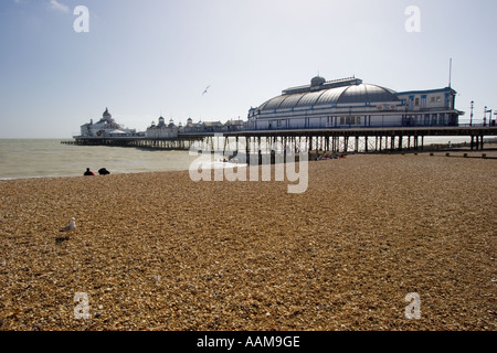 Eastbourne Pier visto dalla spiaggia Foto Stock