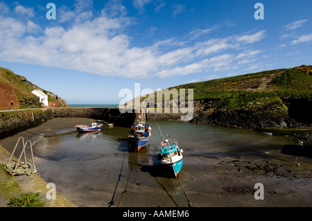 Il porto di Porthgain. Pembrokeshire con la bassa marea con barche da pesca Foto Stock