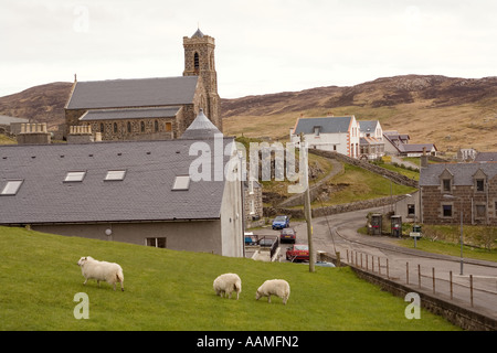 Regno Unito Scozia Western Isles Ebridi Esterne Barra Castlebay pecore al pascolo alla chiesa cattolica Foto Stock