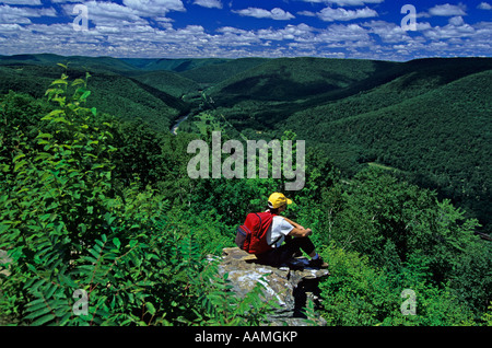 In Pennsylvania IL GRAND CANYON PINE CREEK GORGE TIOGA COUNTY Foto Stock