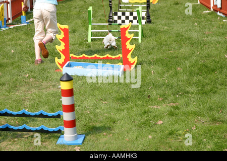 Concorrenti di coniglio in un'agilità jumping contest Foto Stock