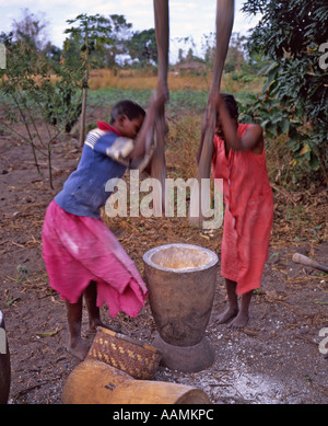 Donne pounding manioca, Kande, Malawi Foto Stock