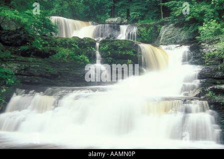 Cade in fabbrica di Delaware Water Gap National Recreation Area PENNSYLVANIA Foto Stock