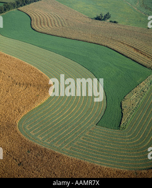 Erba medica su SWATH LANCASTER COUNTY PENNSYLVANIA Foto Stock