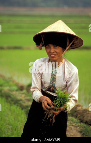 Piantatrice di riso femminile proveniente dalla tribù etnica delle colline Tailandesi Dien Bien Phu, Vietnam del Nord Foto Stock