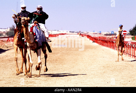 Camel racing Al Shahaniya racetrack nr Doha in Qatar golfo arabo Medio Oriente Foto Stock