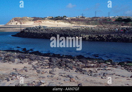 Il Hayle estuario vicino Lelant, Hayle Bar, Cornwall, Regno Unito Foto Stock