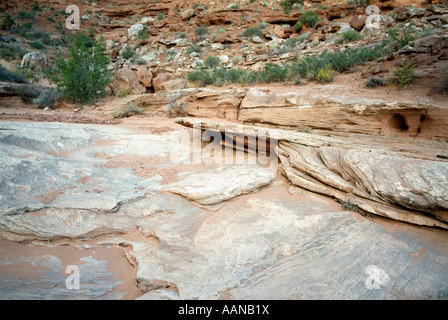 Erosione fluviale. Park Avenue (torreggianti alette di arenaria rising 150-300 piedi). Arches National Park. Utah. Stati Uniti d'America Foto Stock