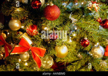 Albero di natale vicino fino Foto Stock