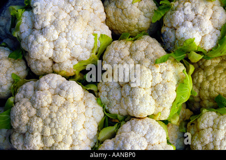 Cavolfiore bianco Foto Stock