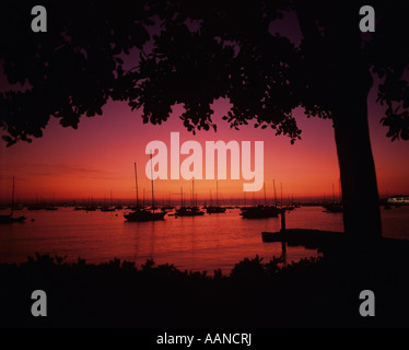 Stagliano barche a vela e albero lungo la baia di San Diego Waterfront la luce del tramonto di San Diego California USA Foto Stock