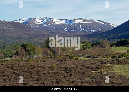 Braeriach con neve nel suo corries su una soleggiata giornata di primavera visto da Tullochgrue est di Aviemore Foto Stock