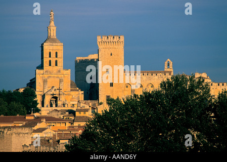 Avignon, Francia - Palais des Papes, il Palazzo dei Papi di Avignone, Francia, Europa Foto Stock