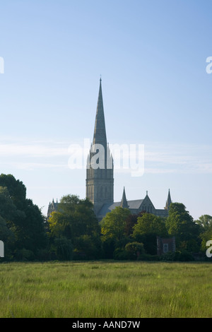 La Cattedrale di Salisbury da tutta Harnham acqua prati Wiltshire, Inghilterra Foto Stock