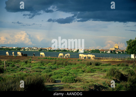 Les Saintes Marie de la mer . Camargue . Francia Foto Stock