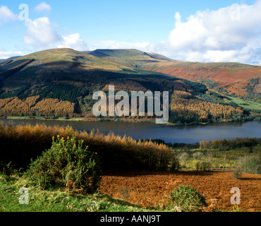 Serbatoio di Elisabetta e waun rydd da tor y foel Parco Nazionale di Brecon Beacons Galles Foto Stock