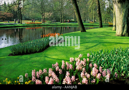 Lisse, Olanda, Giardini Keukenhof turisti meandro lungo il percorso nel bel parco di impostazione Foto Stock