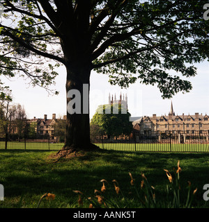 Vista attraverso la riproduzione di Merton campo verso il Corpus Christi di sinistra e di Merton College diritto Oxford University Aprile 2007 Foto Stock