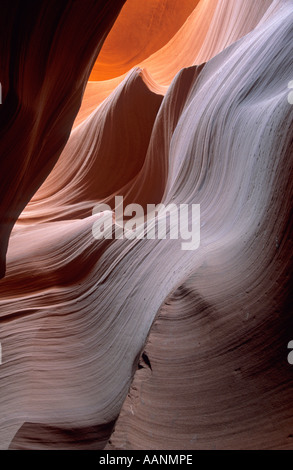 Strutture di roccia a Antelope Canyon vicino a Page, Navajo Indian Reservation, Arizona Foto Stock