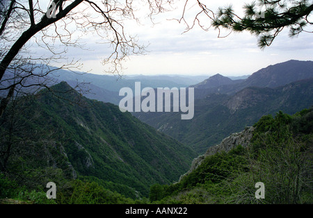 Vista delle montagne della Sierra Nevada dall'autostrada generali Sequoia National Park California USA Foto Stock