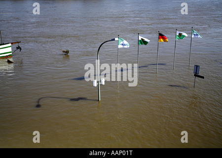 Fiume Elba allagamento, banca allagata con bandiere e street light, in Germania, in Sassonia, Dresden Foto Stock