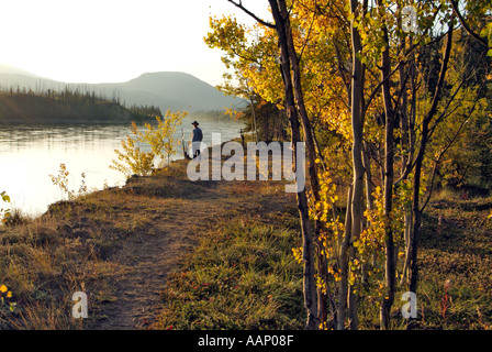 Camp a Ericksons Woodcamp, fiume di Yukon, Yukon, Canada Foto Stock