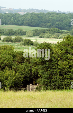 Vista di estremità orientale della Combe Haven Valley SSSI tra Bexhill e Hastings East Sussex England Gran Bretagna UK Europa Foto Stock