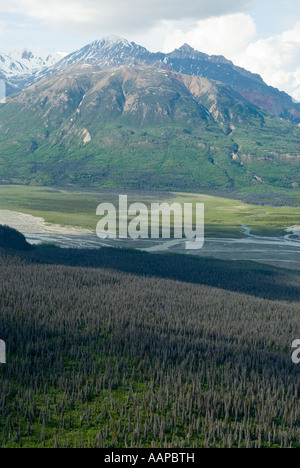 Il fiume Kaskawulsh delta dal ghiacciaio Kaskawulsh nel Parco Nazionale Kluane Yukon Foto Stock